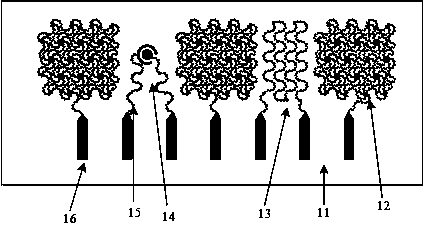 Stretchable electronic device for monitoring eye movement behaviors of driver and preparation method thereof