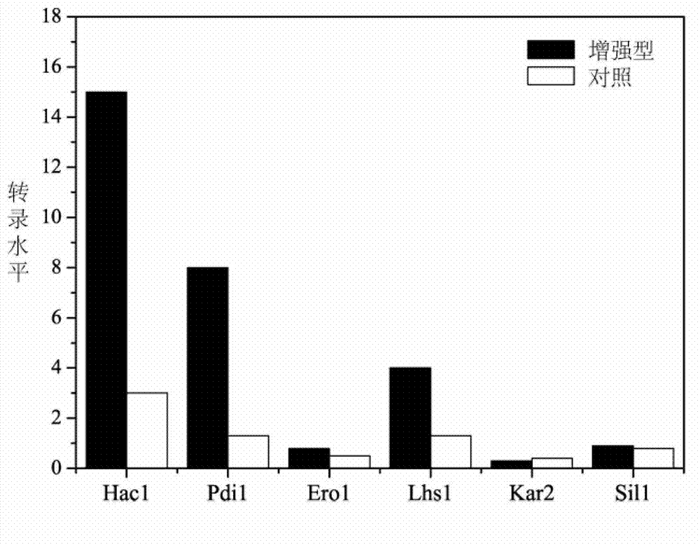 Method for enhancing secretion of glucose oxidase by coexpression of UPR (unfolded protein response) key genes and downstream target genes