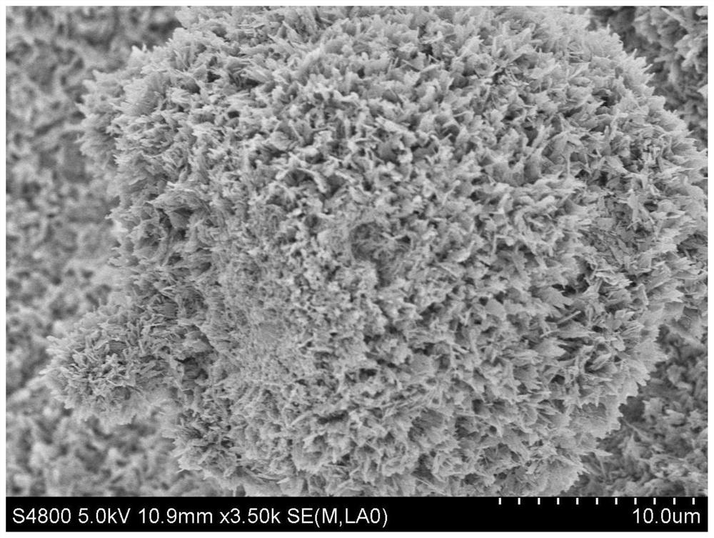 Calcium phosphate bioactive scaffold capable of regulating and controlling cell adhesion performance