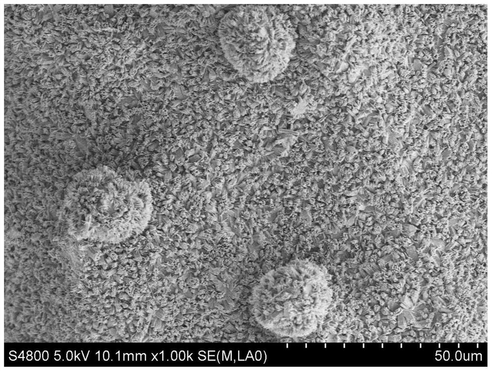 Calcium phosphate bioactive scaffold capable of regulating and controlling cell adhesion performance