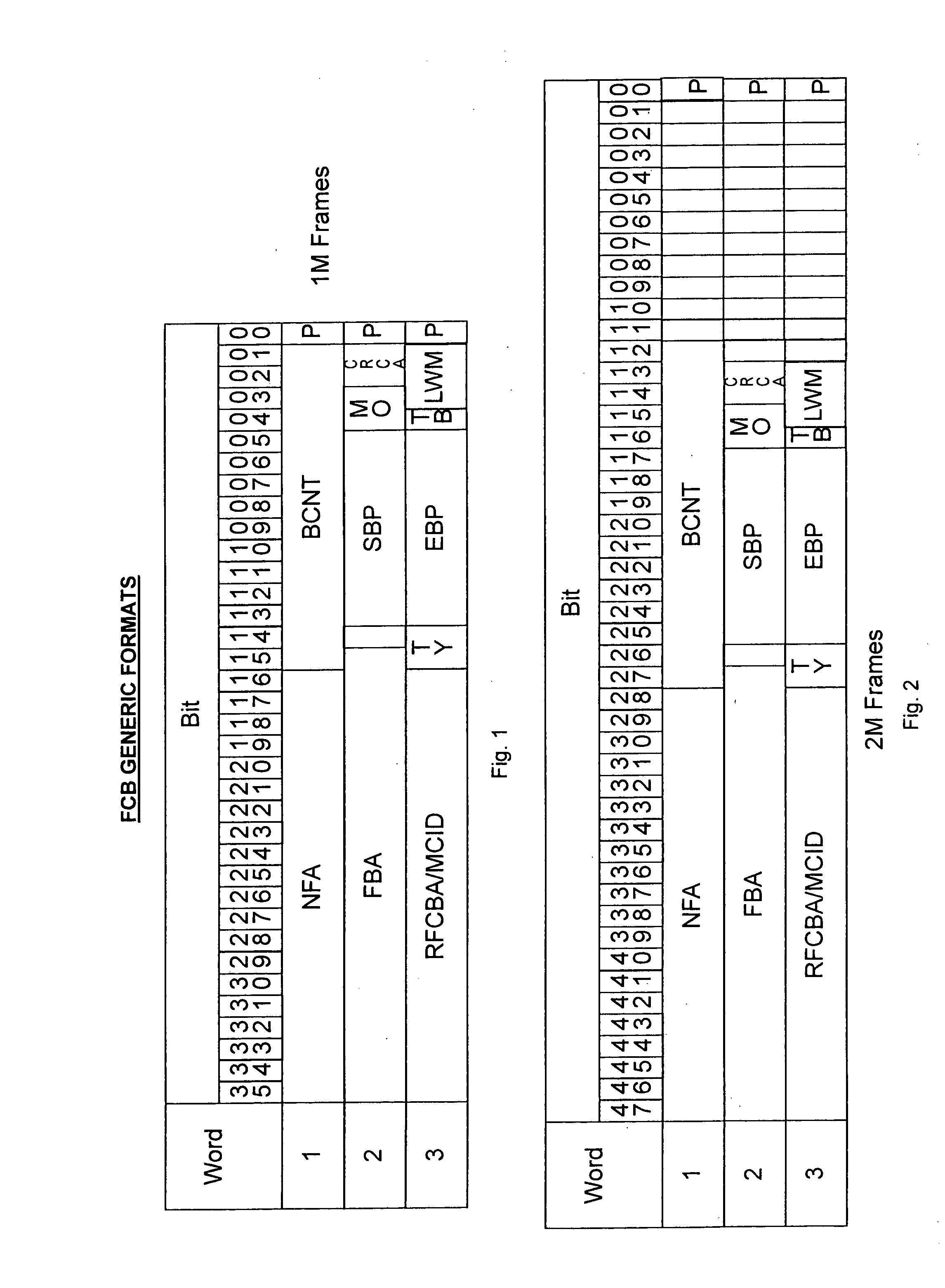 Flexible control block format for frame description and management