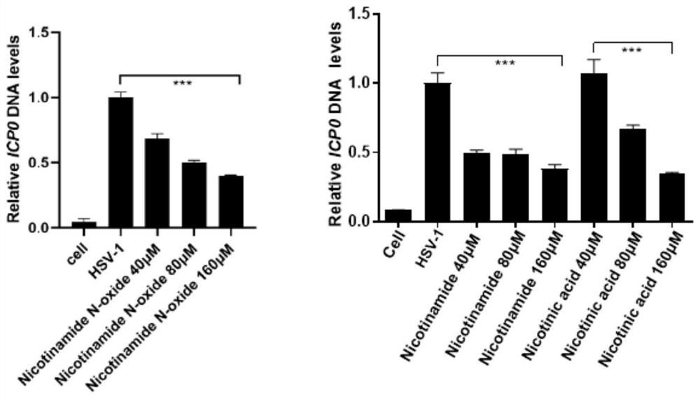 Application of nicotinamide compound in preparation of medicine for treating herpes simplex encephalitis