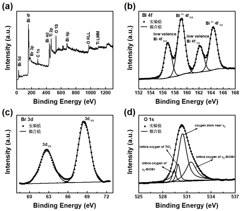 biobr/tio containing oxygen holes  <sub>2</sub> Nanotube array composite electrode, its preparation method and its application in photoelectrocatalytic nitrogen fixation