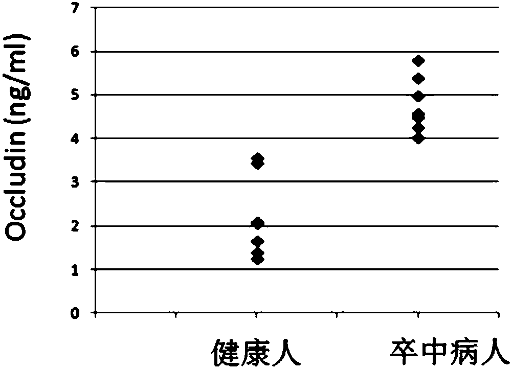 Antibody for detecting blood brain barrier early injury of cerebral arterial thrombosis and application of antibody