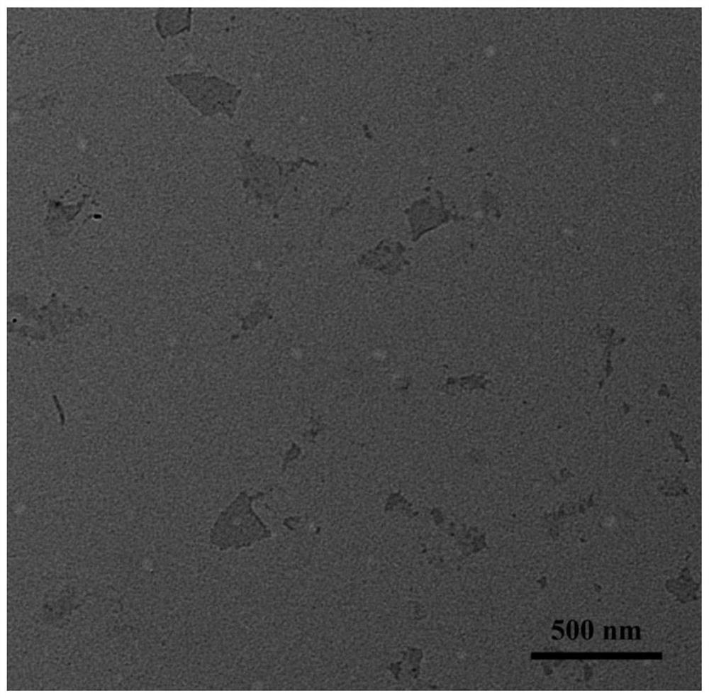 A kind of composite nano-graphene oxide drug carrier and preparation method thereof