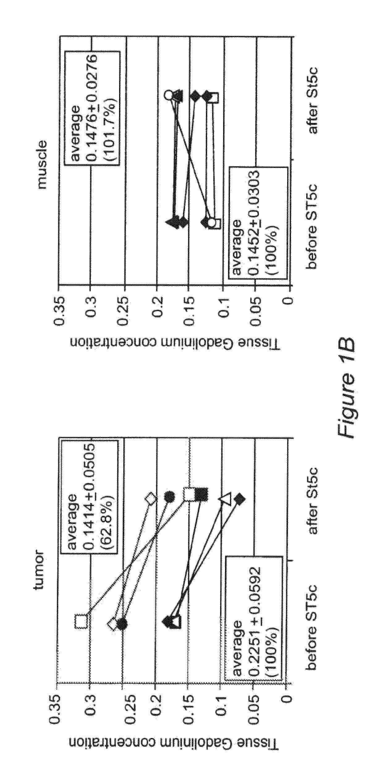 Induction of tumor hypoxia for cancer therapy