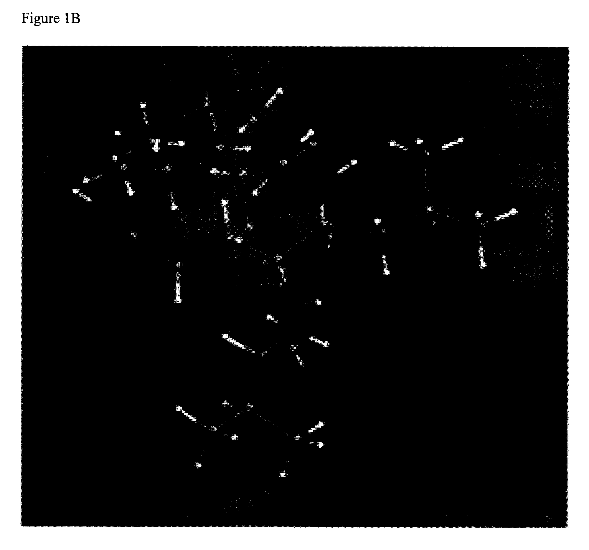 Anti-biofilm compounds