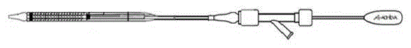 Carotid artery stent system