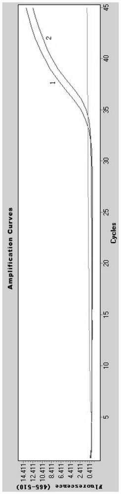 COVID-19 nucleic acid releasing agent and nucleic acid detection kit