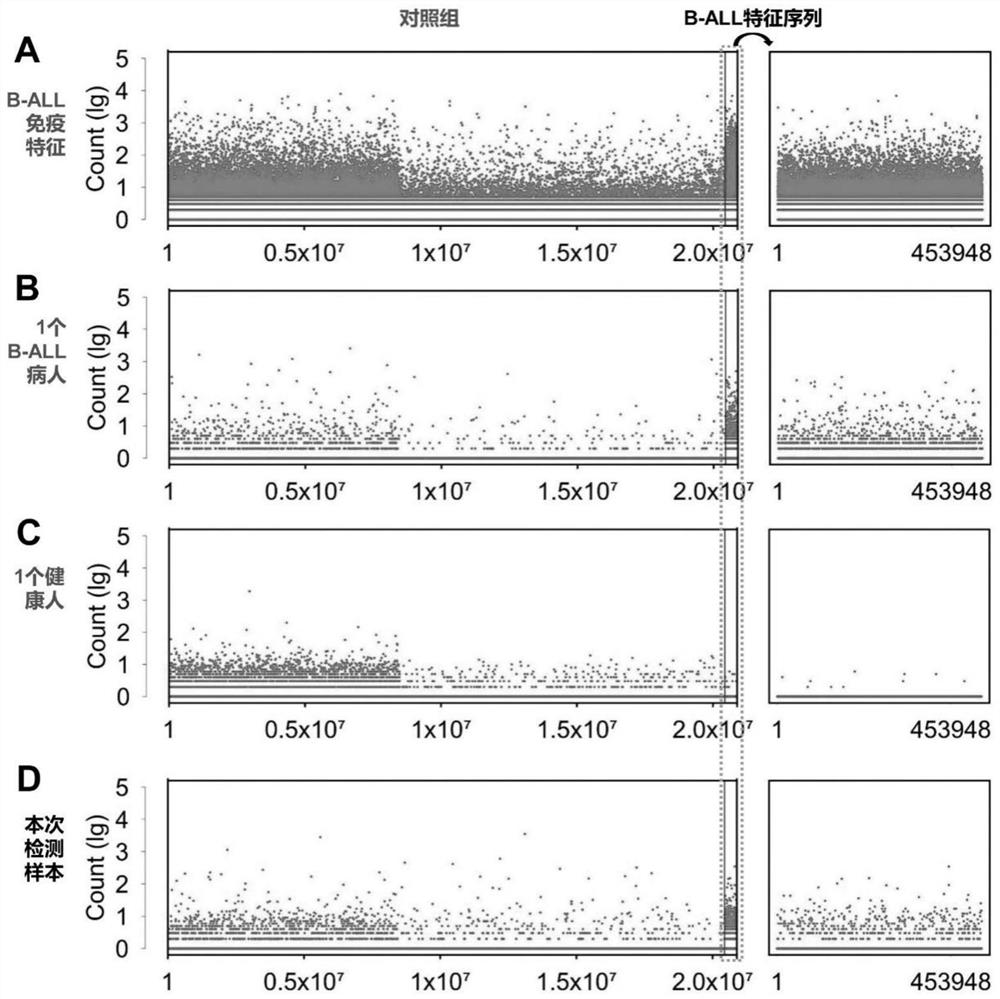 Peripheral blood TCR marker of acute B lymphocytic leukemia as well as detection kit and application of peripheral blood TCR marker