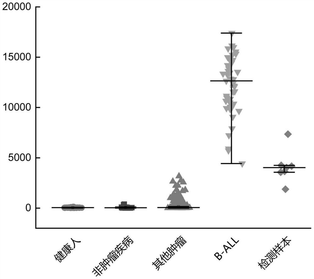 Peripheral blood TCR marker of acute B lymphocytic leukemia as well as detection kit and application of peripheral blood TCR marker