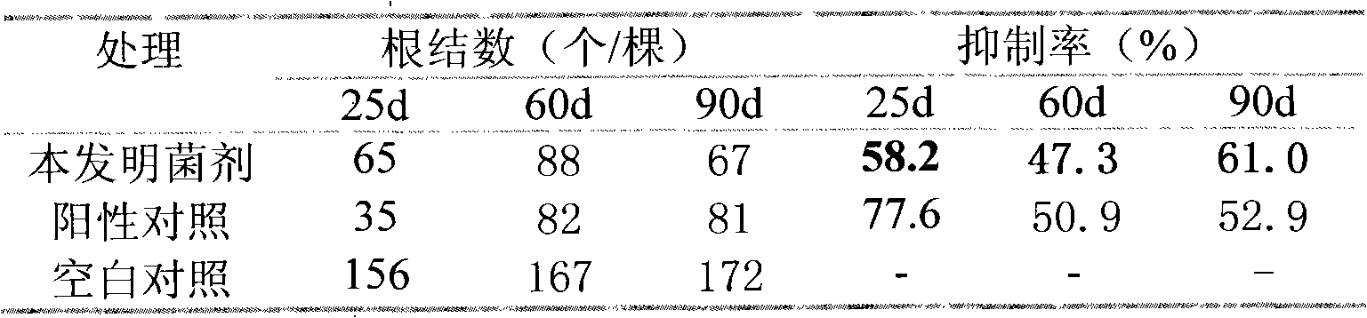 Microbial composite inoculum and applications thereof