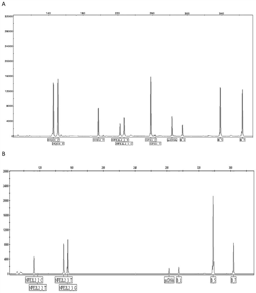 Kit for detecting oxidation resistance genotype of human skin and method thereof