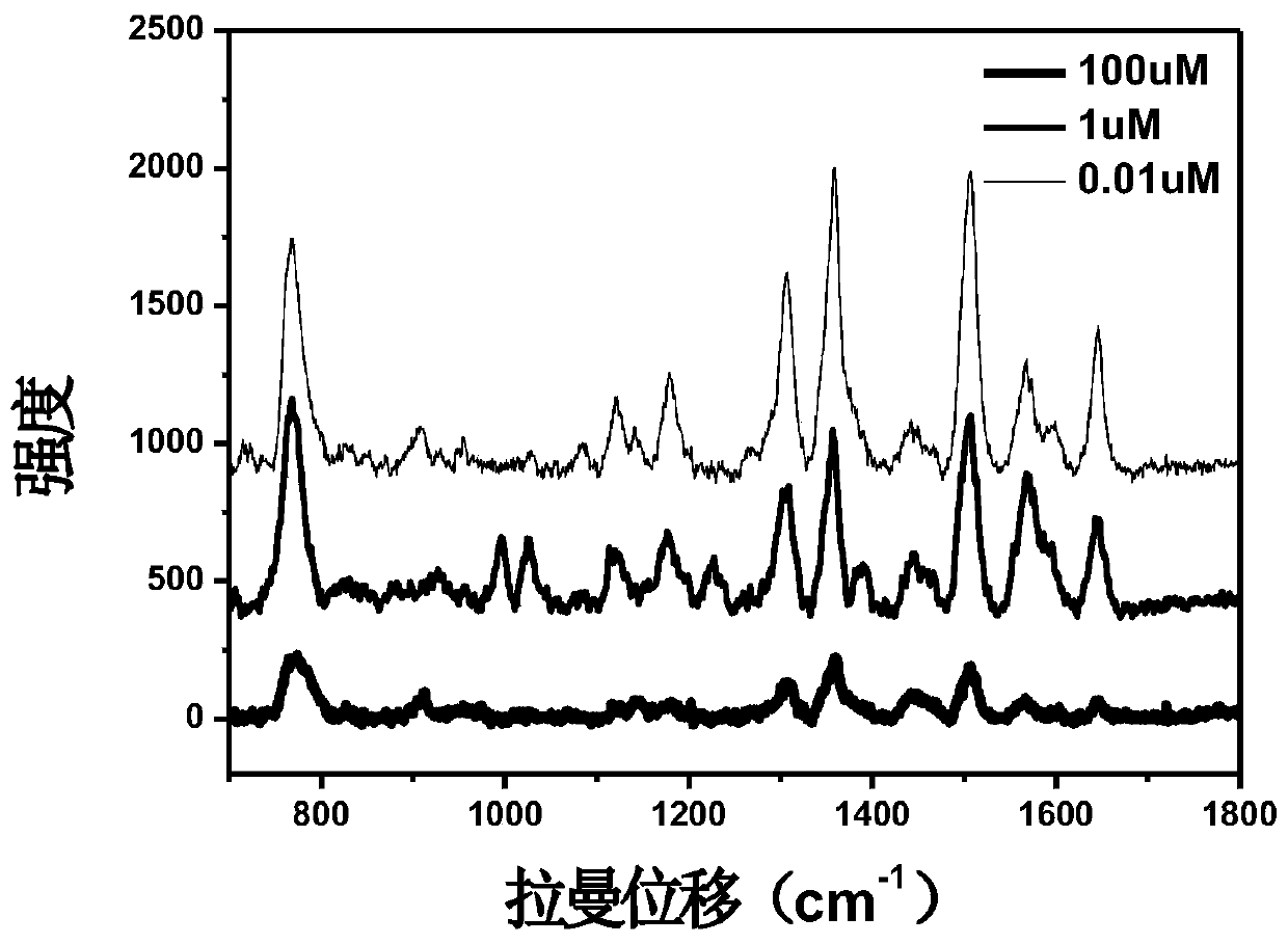 A method for the detection of acetylcholine based on surface-enhanced Raman spectroscopy