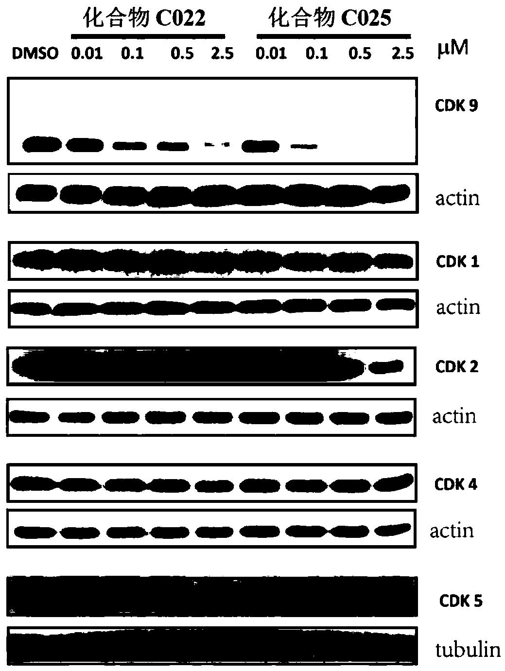 Degradation agents for cell cycle-dependent kinases, preparation method thereof, pharmaceutical compositions and use thereof