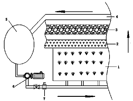 Composite curtain wall for efficiently intercepting pollutants in farmland surface source