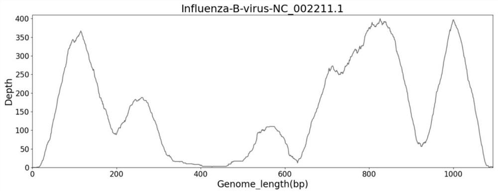 A kind of ngs primer set and kit for detecting respiratory virus pathogens