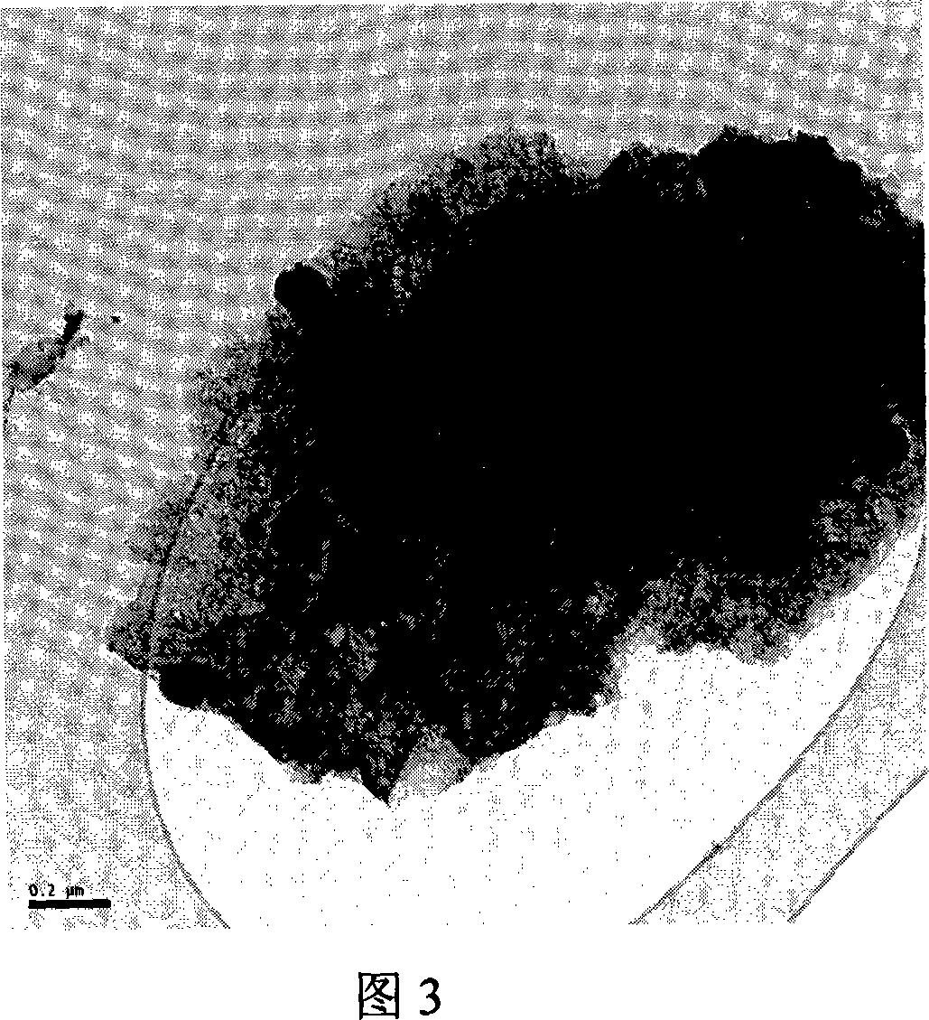 Tin carbon nanometer compound material for lithium ion battery and method for making same