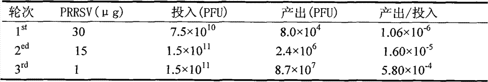 Polypeptide capable of specifically bonding porcine reproductive and respiratory syndrome viruses, screening method thereof and use thereof