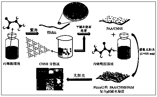 Carbon nitride nanosheet (CNNS) composite pH-sensitive hydrogel with Pizza structure as well as preparation method and application of CNNS composite pH-sensitive hydrogel