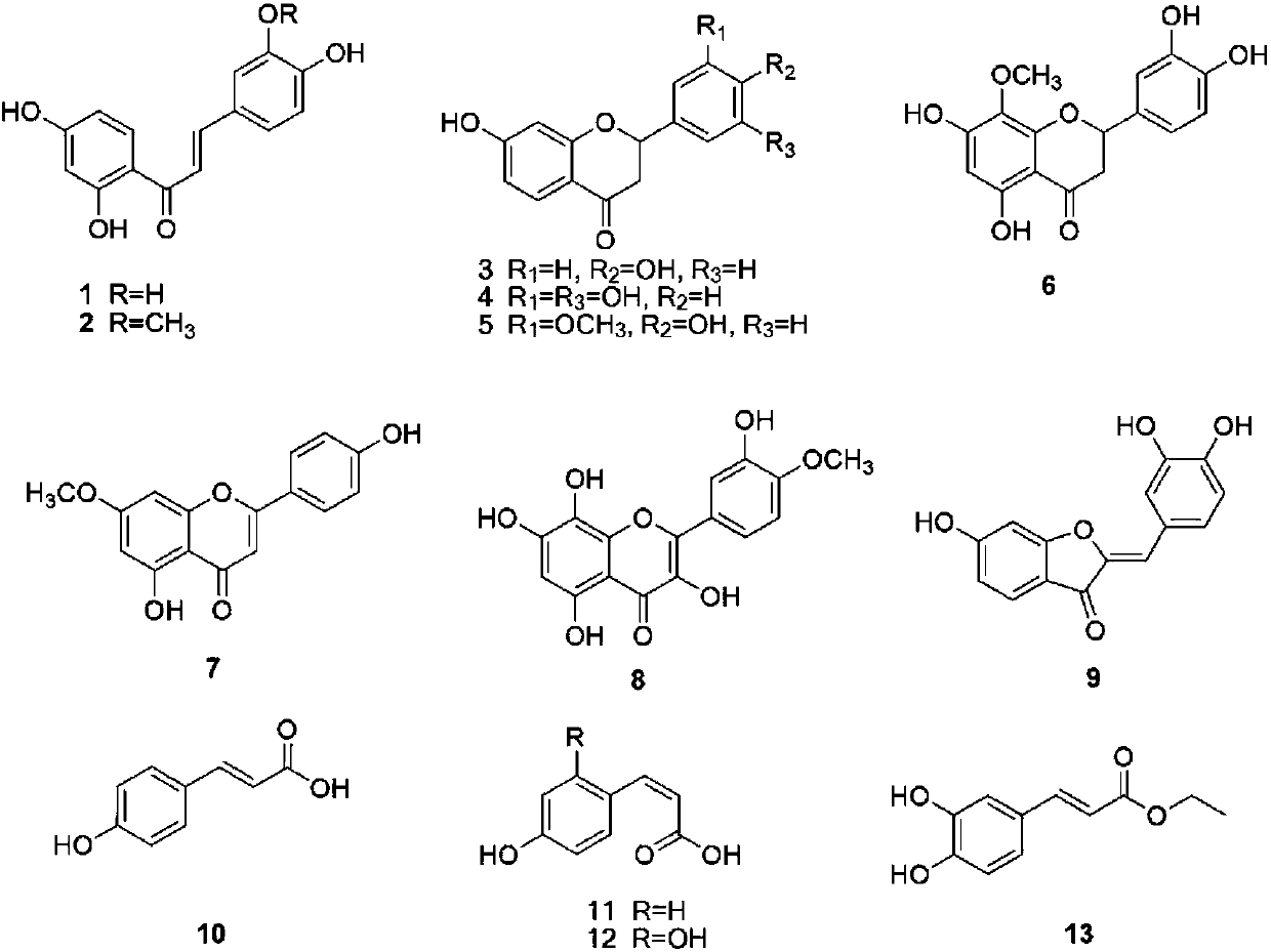 South American wedelia chinensis antioxidant extract as well as preparation method and application of extract