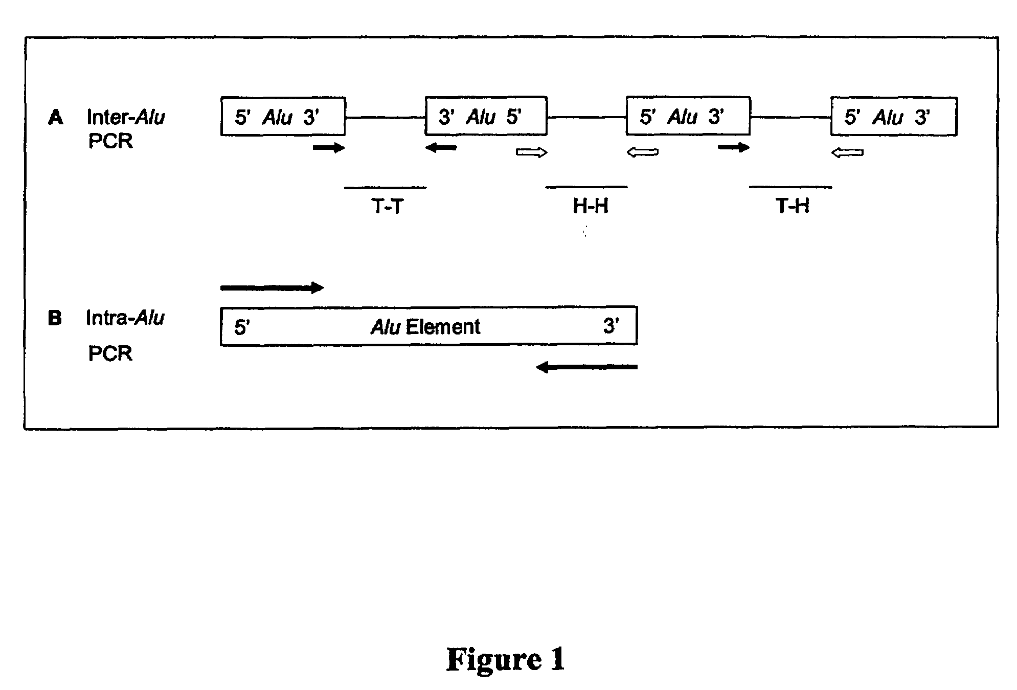 Assay for quantitation of human DNA using Alu elements