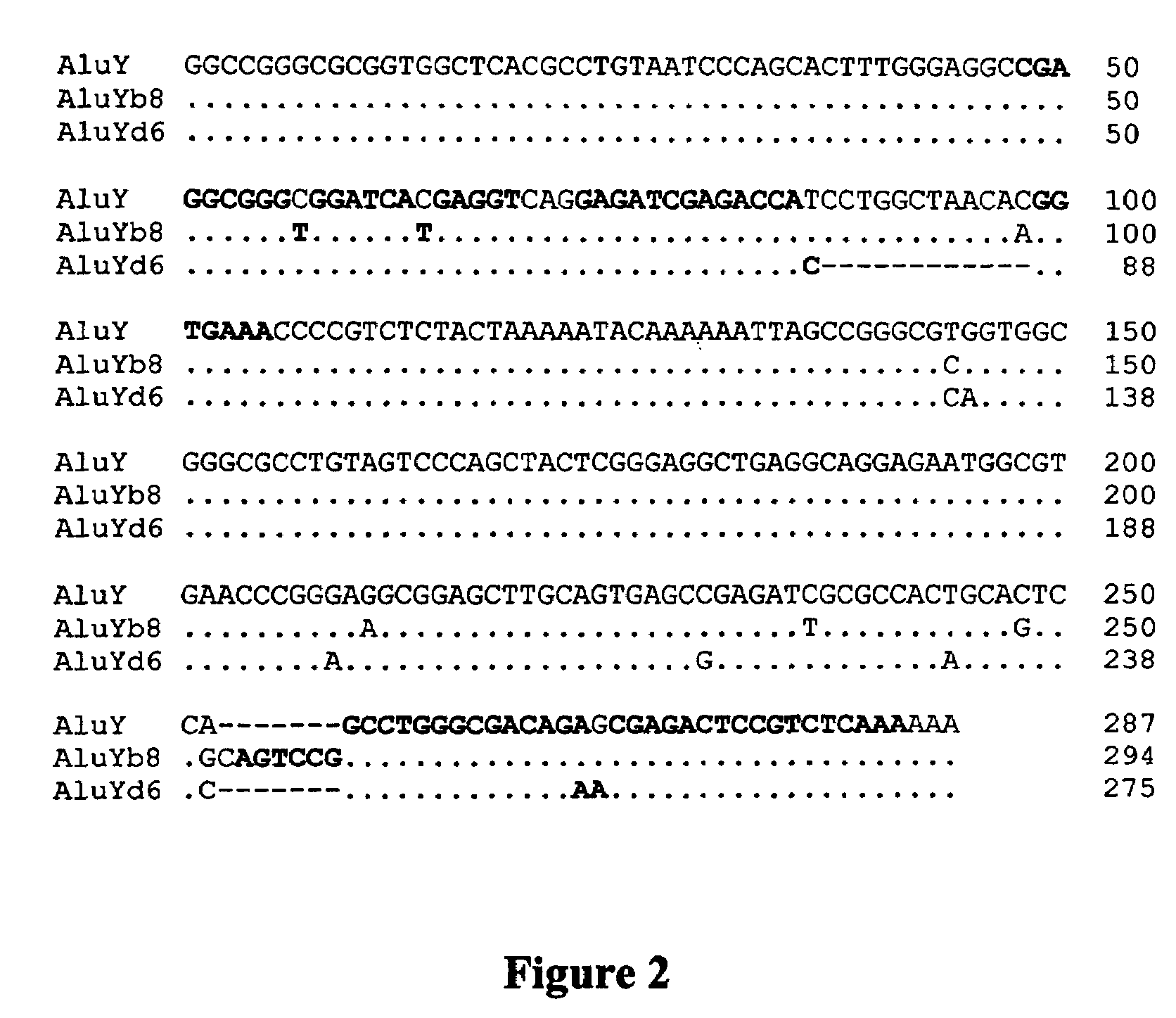 Assay for quantitation of human DNA using Alu elements