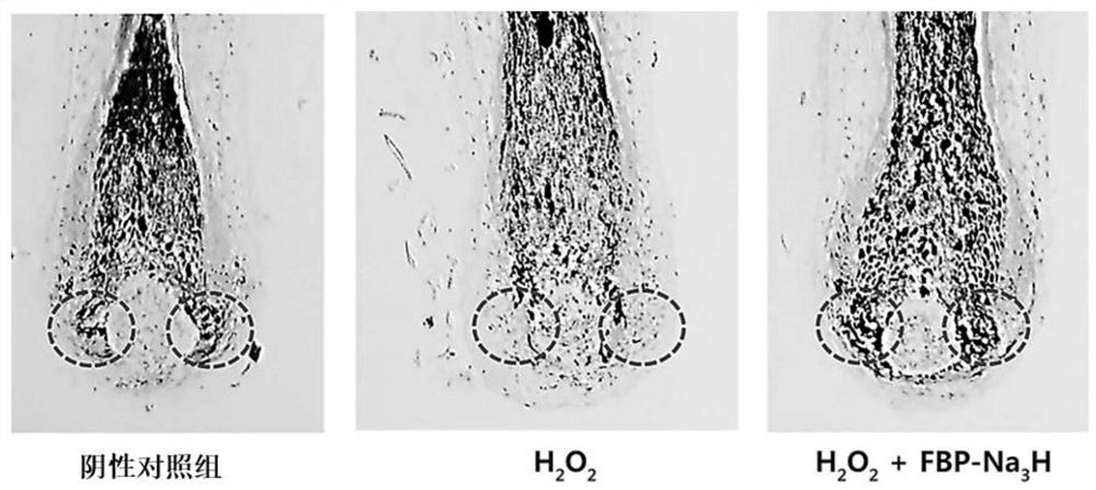 Use of fructose 1, 6-diphosphate or derivatives thereof