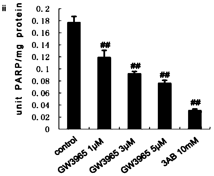 Use of gw3965 as a PARP1 inhibitor