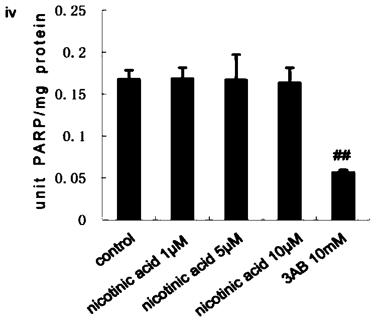 Use of gw3965 as a PARP1 inhibitor