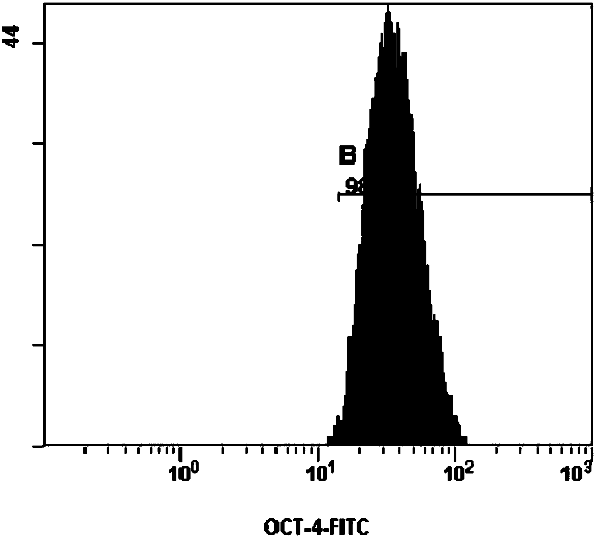 Method for extracting subtotipotent stem cells from placental fetal face chorion