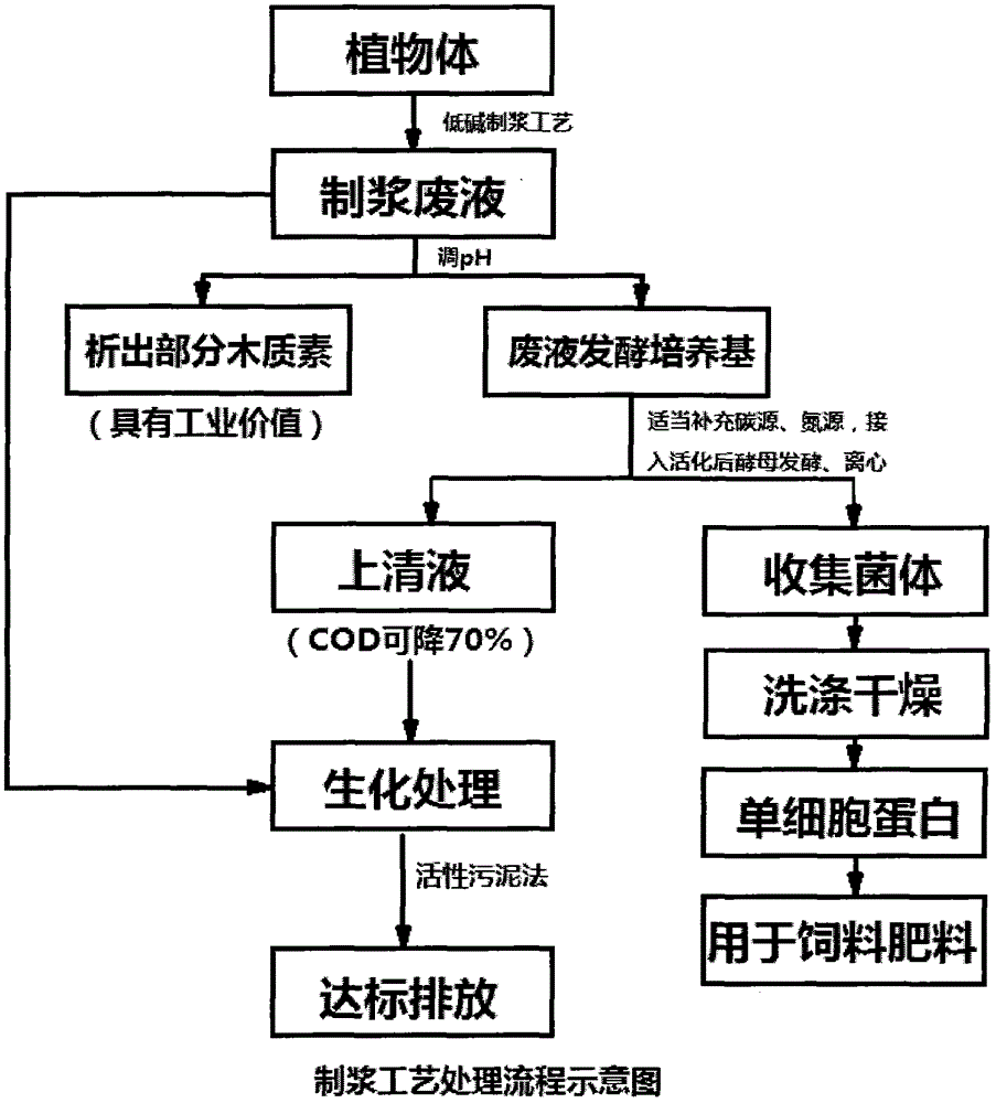 A method for producing single-cell protein from pulping waste liquid