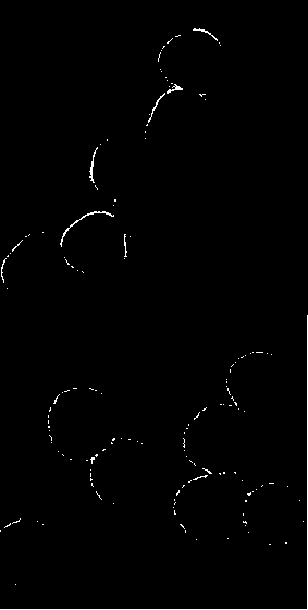 Gold nanometer set square-titanium dioxide core-shell nanohybrid and preparation method as well as application thereof