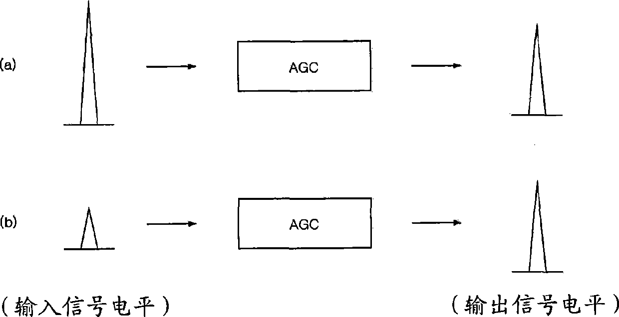 Automatic gain control apparatus and method in wireless telecommunication system based on time division duplex