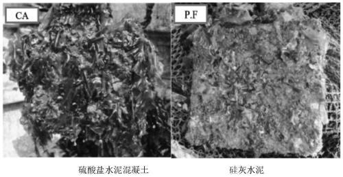 Cement concrete oyster attachment substrate with rough surface and preparation method thereof