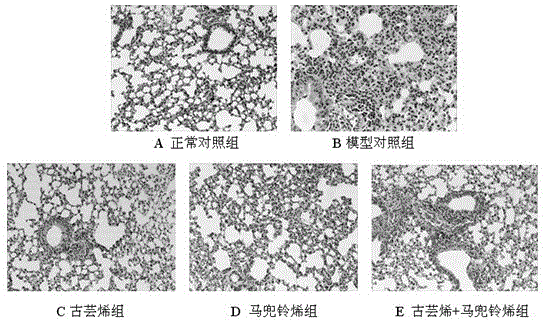 A kind of medicine for treating lung disease and application thereof