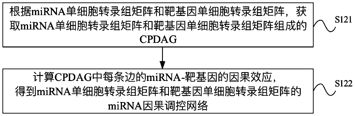 Identification method and device for miRNA causal regulation and control network, electronic equipment and storage medium