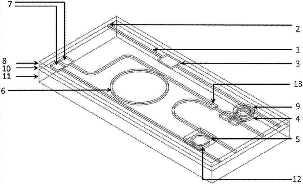 Integrated biosensor and preparation method thereof