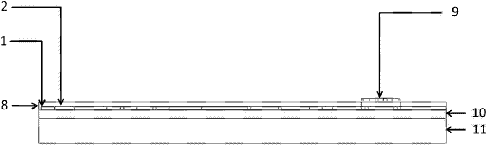 Integrated biosensor and preparation method thereof