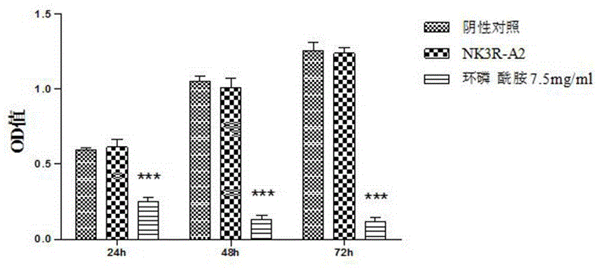 Synthetic peptide NK3R-A2 based on NK3 receptor and application thereof