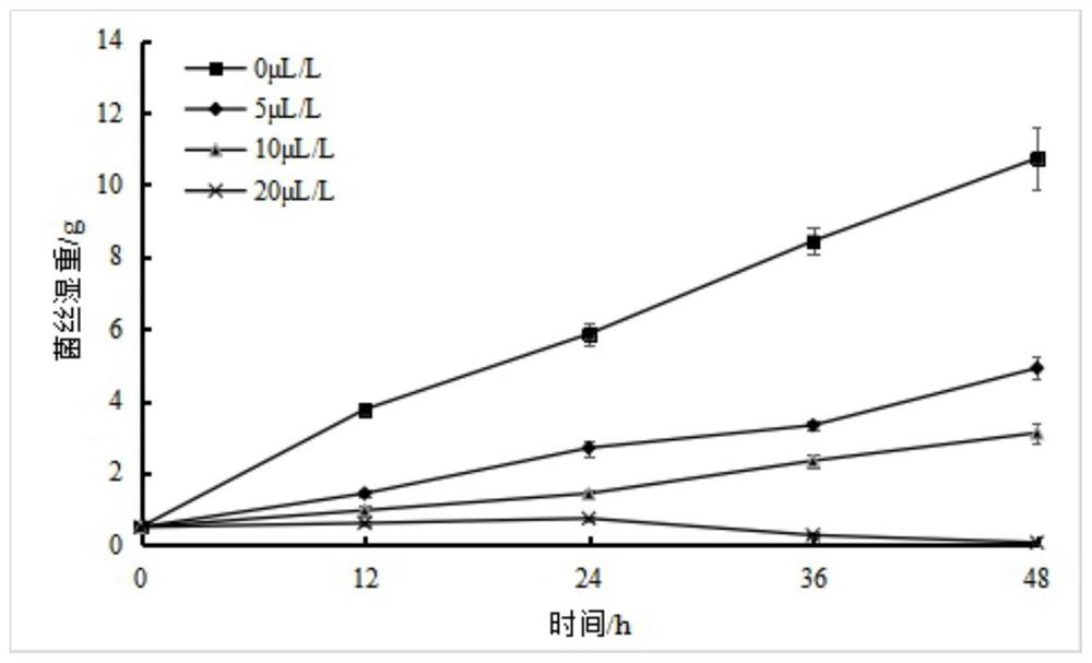 Biological control method for fruit and vegetable penicilliosis pathogens