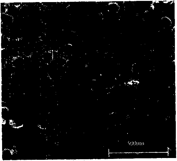 Method for preparing titanium dioxide nanotube array photoelectrode