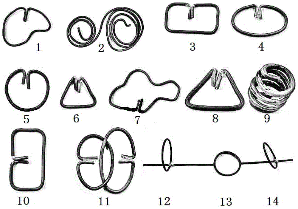 A ring-type stem-growing method for trunks of the genus Lagerstroemia in the family Lagerstroemia genus