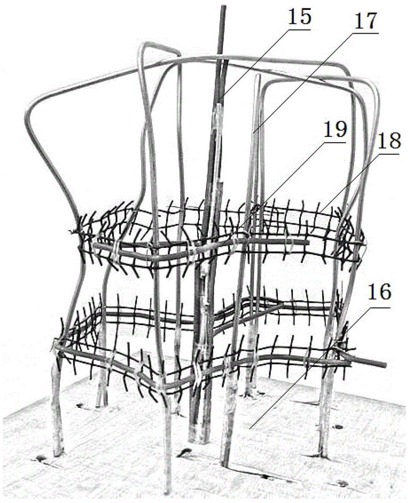 A ring-type stem-growing method for trunks of the genus Lagerstroemia in the family Lagerstroemia genus