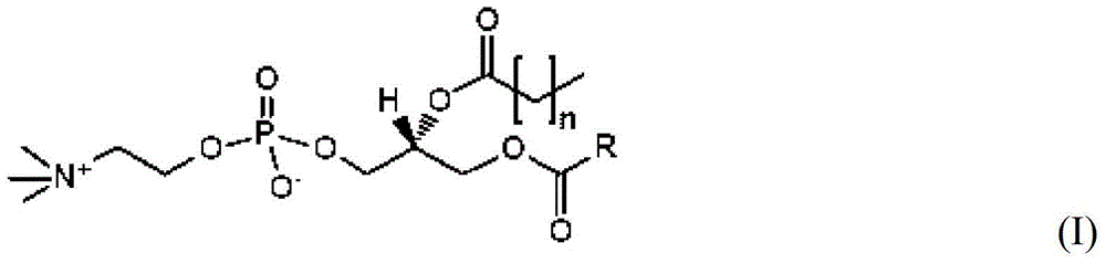 Carriers for the local release of hydrophilic prodrugs