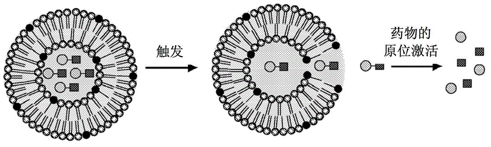 Carriers for the local release of hydrophilic prodrugs