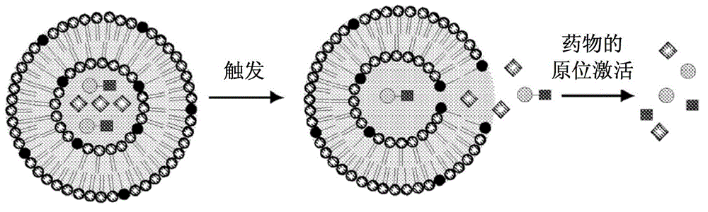 Carriers for the local release of hydrophilic prodrugs