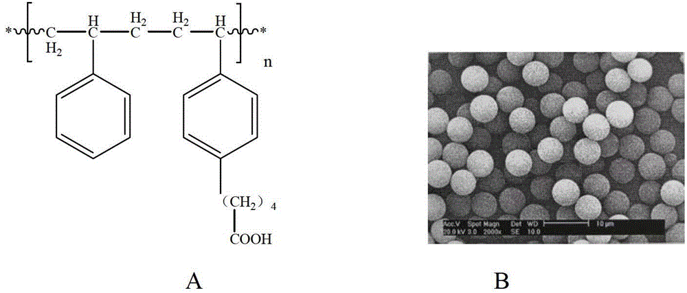 Method for detecting phytase