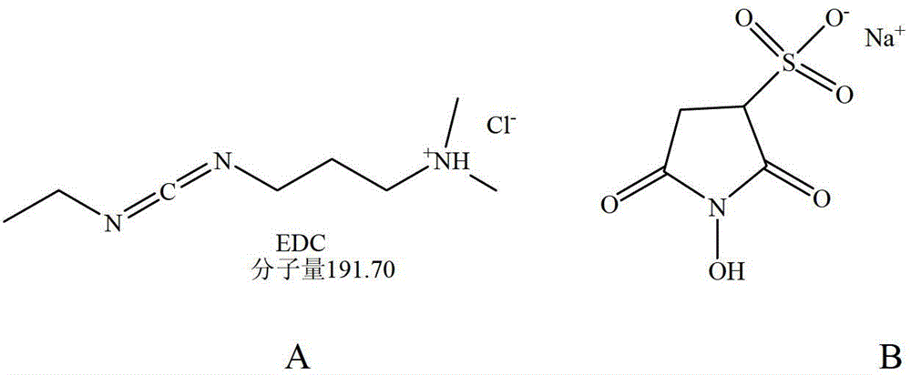 Method for detecting phytase