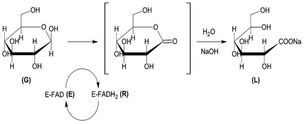 A kind of preparation method of gluconic acid and glucaric acid